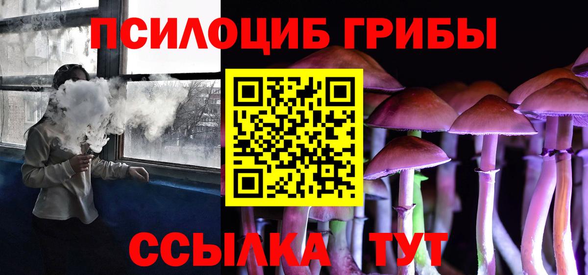 Псилоцибиновые грибы GOLDEN TEACHER Богданович